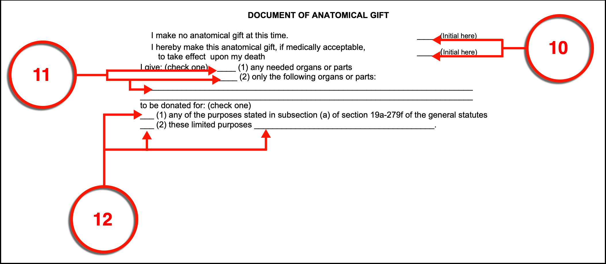 Free Connecticut Advance Directive Form (Medical Poa + Living Will) | Pdf
