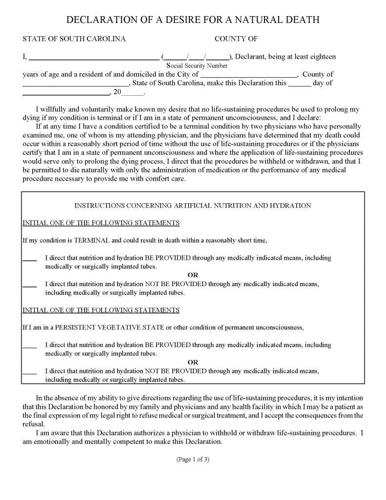 Free South Carolina Advance Directive Form (Medical POA + Living Will ...